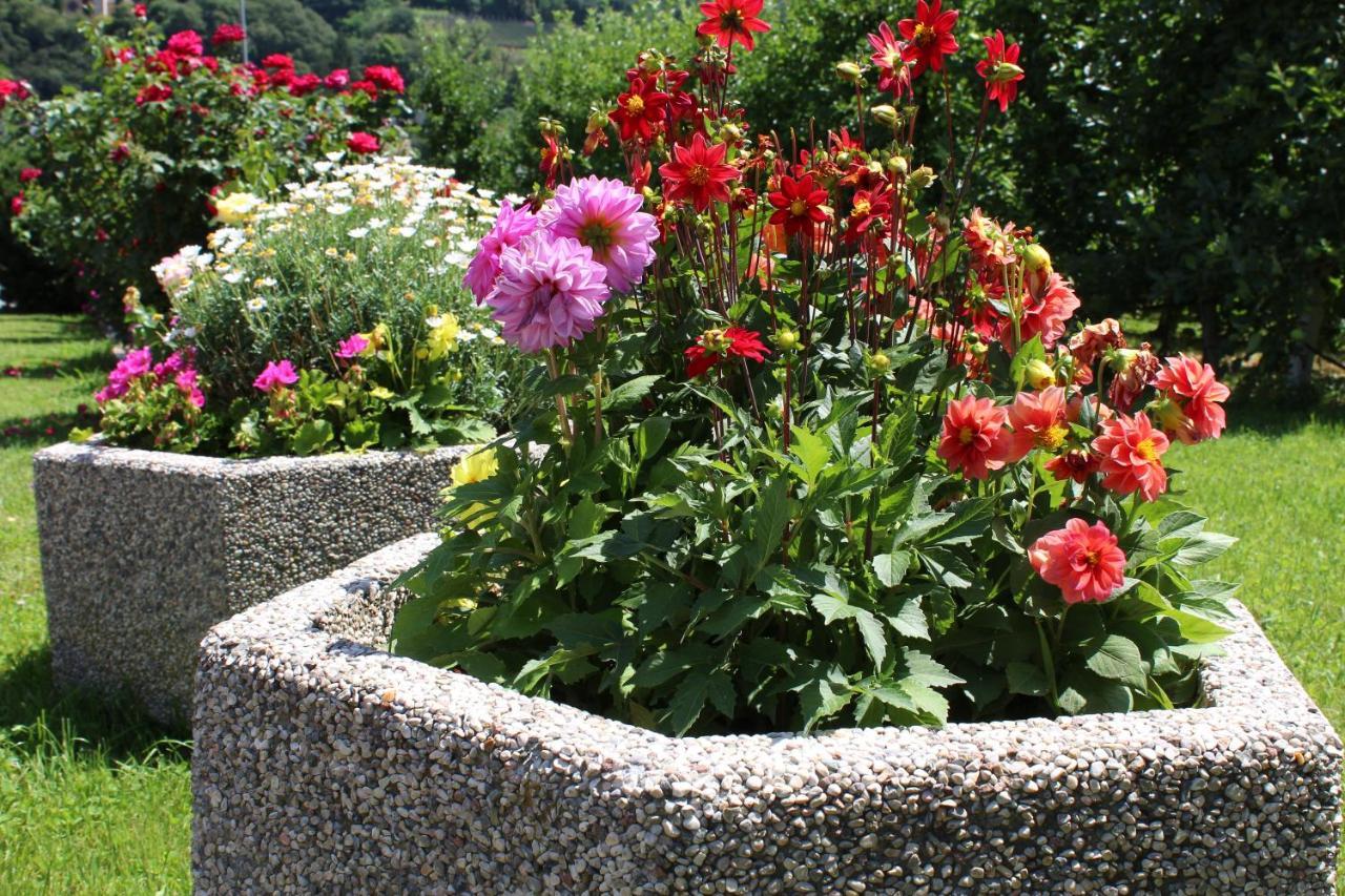 Bed and Breakfast Gruberhof Postal / Burgstall Екстер'єр фото